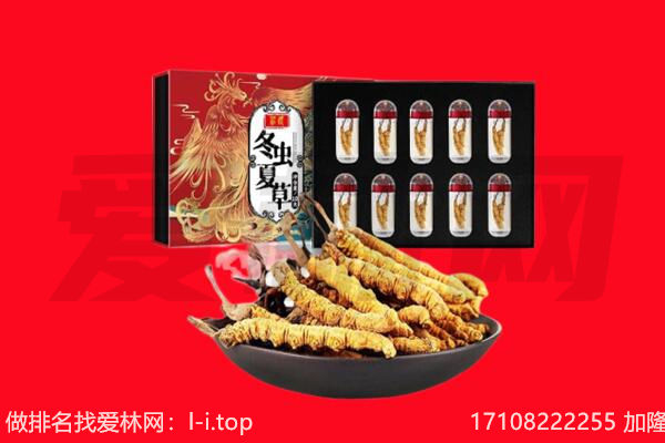 昌都市八宿回收虫草.jpg